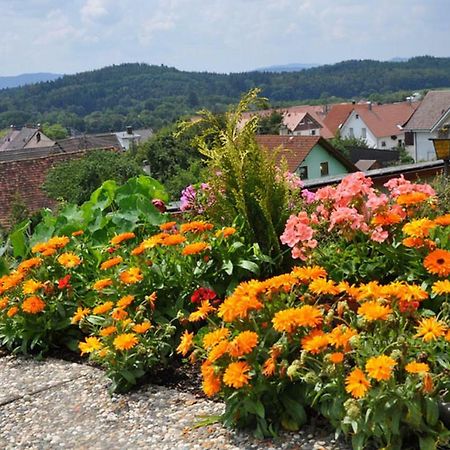 Gasthof Adler Guettingen Guttingen Buitenkant foto
