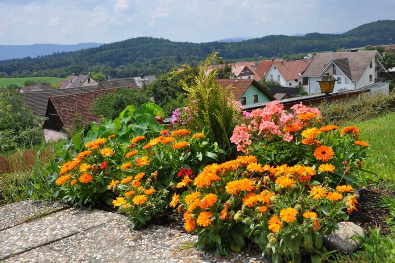 Gasthof Adler Guettingen Guttingen Buitenkant foto